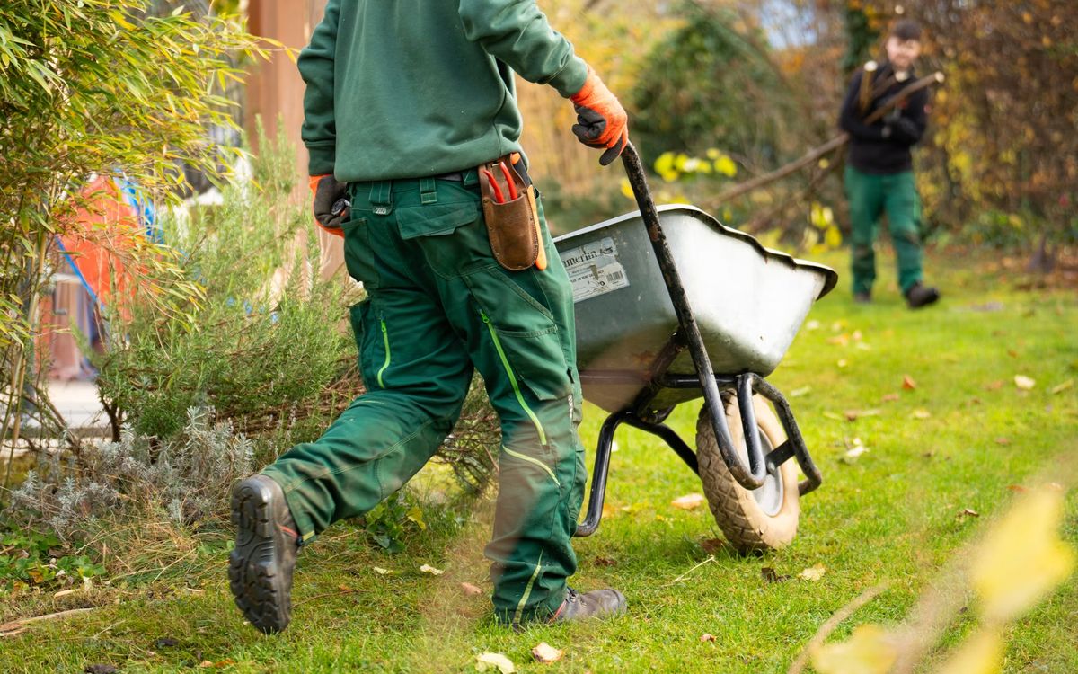 Landscaping crew at work with a wheelbarrow